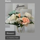 b/t, Matthew Ifield - Blossom [ 힐링음악 사랑노래 ] 이미지
