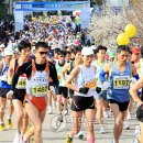 송림연합의원 이미지