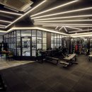 비바라짐 (신논현) 이미지