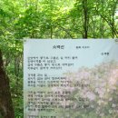 신황진이야 이미지