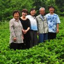 어름박골 쪽빛마을 이미지