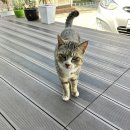 스테이 감도 이미지