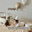 파인픽스튜디오 | 200일 아기 셀프촬영 소품 대여 파인데이픽 내돈내산 후기