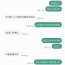 스트레이키즈 콘서트 도미네이트 앙콘 후기