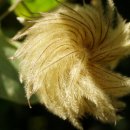 하늘을 향하여 이미지