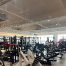 머슬프로짐 이미지