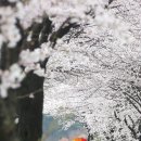제일원떡방앗간 이미지