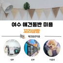 꼬리살랑 | 여수애견미용 잘하는 곳 찾는다면? 쿠키가 다녀온 꼬리살랑 리얼후기