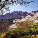 [新택리지]그 날의 울분 신록의 여로(旅路), 동학의 역사탐방 정읍 이미지