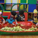 세린푸드 이미지
