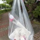 삼산초등학교 | [울산 선물] 삼산 소루 어버이날 가정의날 부모님...추천 곶감 카나페 후기 24시간 무인픽업 현장구매...