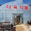 로하스조경식물원