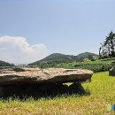 읍리 지석묘 이미지