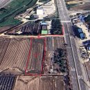 통일로 금촌농장 이미지