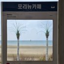 오션PC | 태안여행 하늘과바다사이리조트, 1박2일 오션뷰 숙소 만족 후기