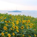 일광수산 이미지