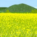 제주앓이 이미지