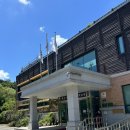 봉숭아물 물들이다 | [맹산 환경생태학습원] 염색체험 -경기 아이와 가볼 만한 곳