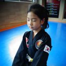 대한격투합기도 이미지