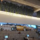 오복칼국수 이미지