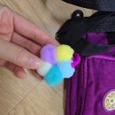 아사리경로당 이미지