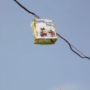 대흘초등학교 이미지