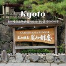 오사카 교토여행 오면 꼭 가야할 아라시야마 텐류지 치쿠린
