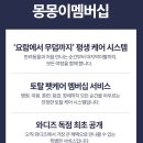 몽몽이애견 이미지