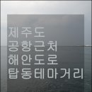 탑동 테마거리 이미지