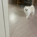 능주농협로컬푸드복합문화센터 | [11월일상]#1.짧은 가을, 아쉬움 가득