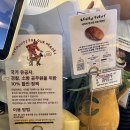 예삐애견 | [의정부] '투하츠베이커리' 의정부 해리포터 크리스마스 카페 애견동반 / 크리스마스 당일 웨이팅 후기