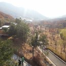 화명수목원 이미지