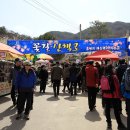 봄의 전령사 매화향기에 푹빠지다(광양매화축제/매화마을/청매실농원) 이미지