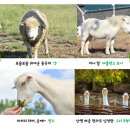 모토조이