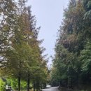 문성자연휴양림 | 충주 아이와 가볼 만한 곳 문성자연휴양림 캠핑장에서 보낸 2박 3일 (예약, 시설, 꿀팁 총정리)