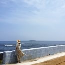 공천포별장