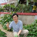 영화부동산공인중개사사무소 이미지