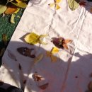 서농초등학교(병설) 이미지