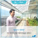 조성권농장 네이버블로그