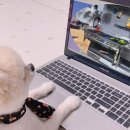 하루커피호프 이미지