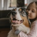 이프동물의료센터 이미지