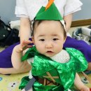 도로시의숲 이미지