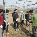 보용농장 이미지