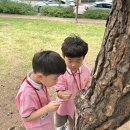 ♡슬기반의 숲 활동(개미도 함께할까?)♡ 이미지