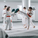 특사 태권도 이미지