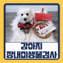 반송동물병원 | 바프독 반려동물 장내미생물검사 FRESHGUT 후기