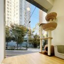 우다다냥 이미지