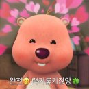 케이키키 | 화명동 댄스학원 [더퍼스트댄스아카데미] 케이팝 취미반 후기💃