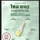 원 오일 이미지
