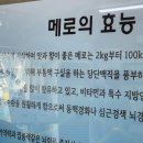 짱아식당 이미지